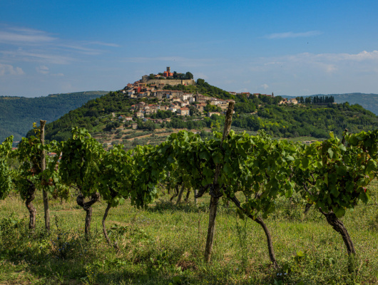 vin-croatie